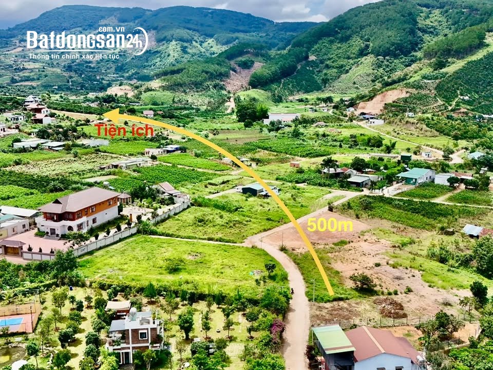 Đất ven Đà Lạt 558m2, TC 209m2, nở hậu, pháp lý rõ ràng, không gian nghỉ dưỡng yên bình.