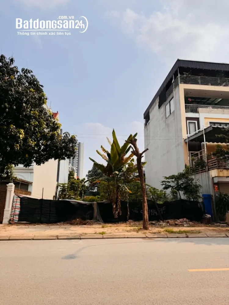 Cho thuê đất khu đấu giá 31ha, Trâu Quỳ, 240m2, đường 13m, giá 12 triệu/tháng.