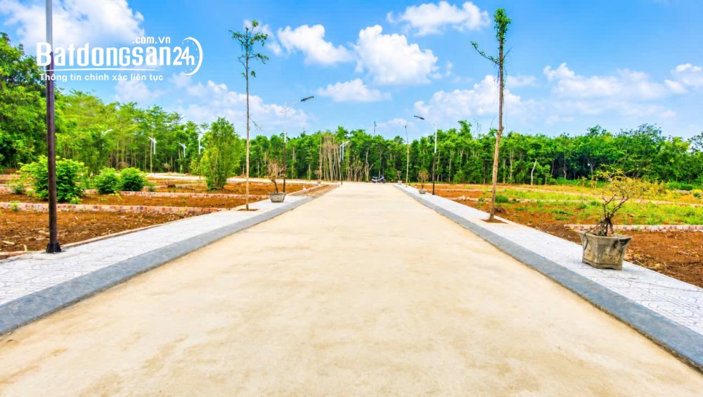 Đất biển Cửa Tùng, Quảng Trị, DT 7x33m, đường 6m, giá chỉ 3XX, phù hợp đầu tư nghỉ dưỡng.
