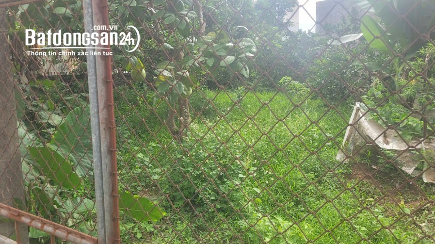  Đất mặt tiền Phường Chương Mỹ, 250m², giá 15 tỷ, cách đường lớn chỉ 20m