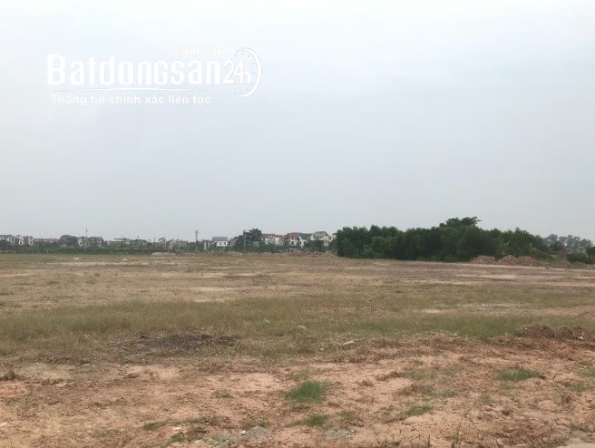 CCN Lương Phú, 10.000m², trả tiền 1 lần, hạ tầng hoàn chỉnh, giá từ 125 USD/m²