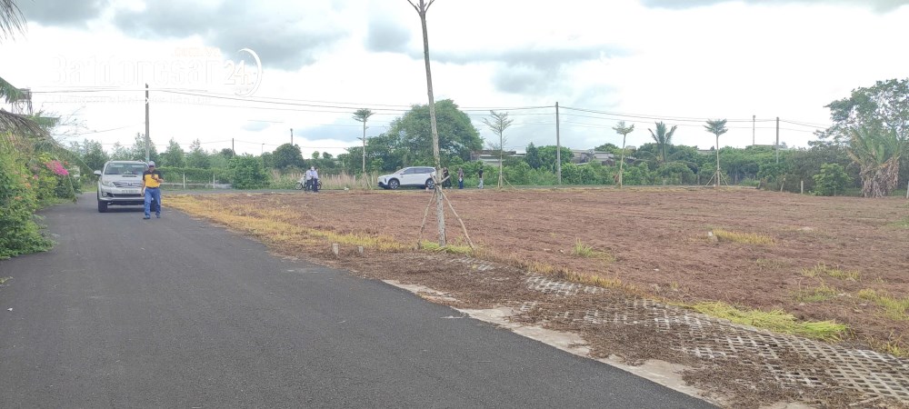 356m² gần Hồ Tràm, ngang 8m, sổ hồng riêng, ô tô tới đất, giá từ 4.5 triệu/m².