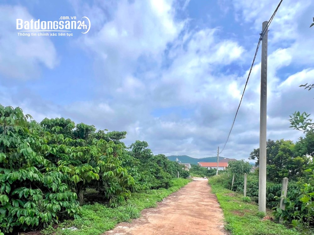 Đất nghỉ dưỡng ven Đà Lạt 308m², sổ hồng riêng, mặt tiền 10m.