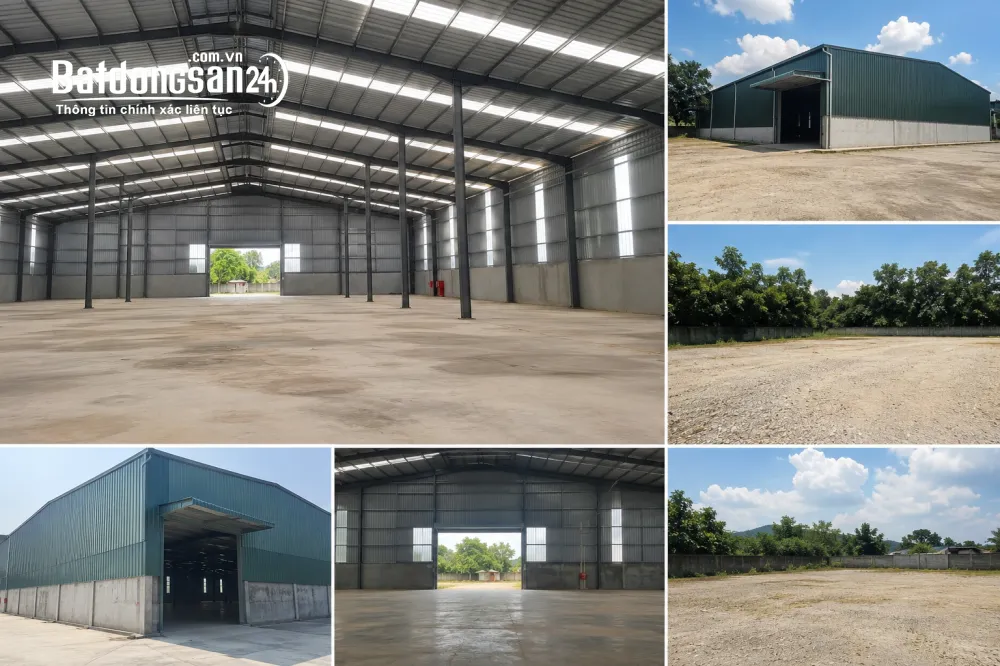 Cho thuê kho xưởng Hòa Vang, Đà Nẵng, 800m², sân bãi rộng, giá 50 triệu/tháng.
