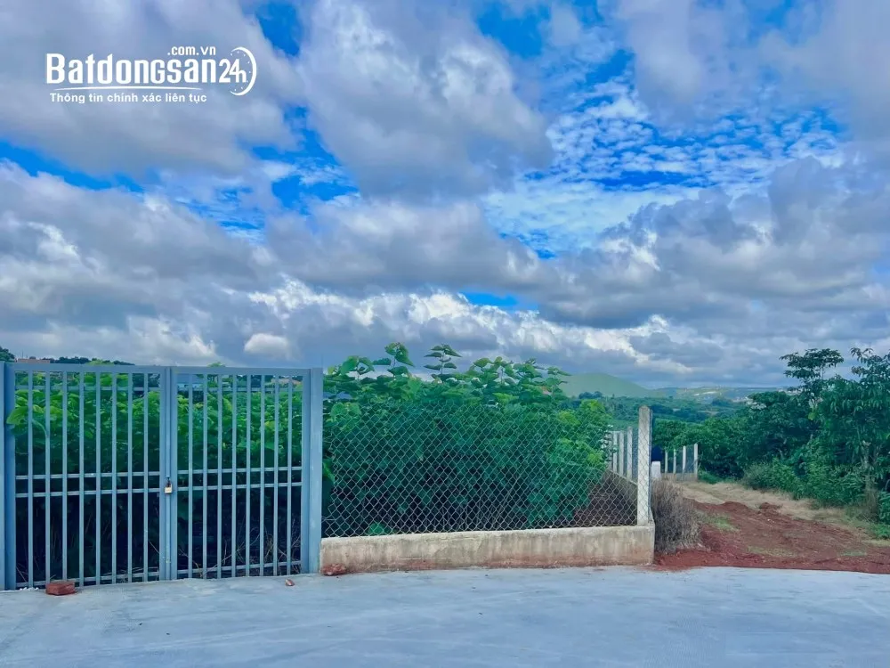 Đất nhà vườn ven Đà Lạt 25x126m, 200m² thổ cư, sẵn tường rào bao quanh.