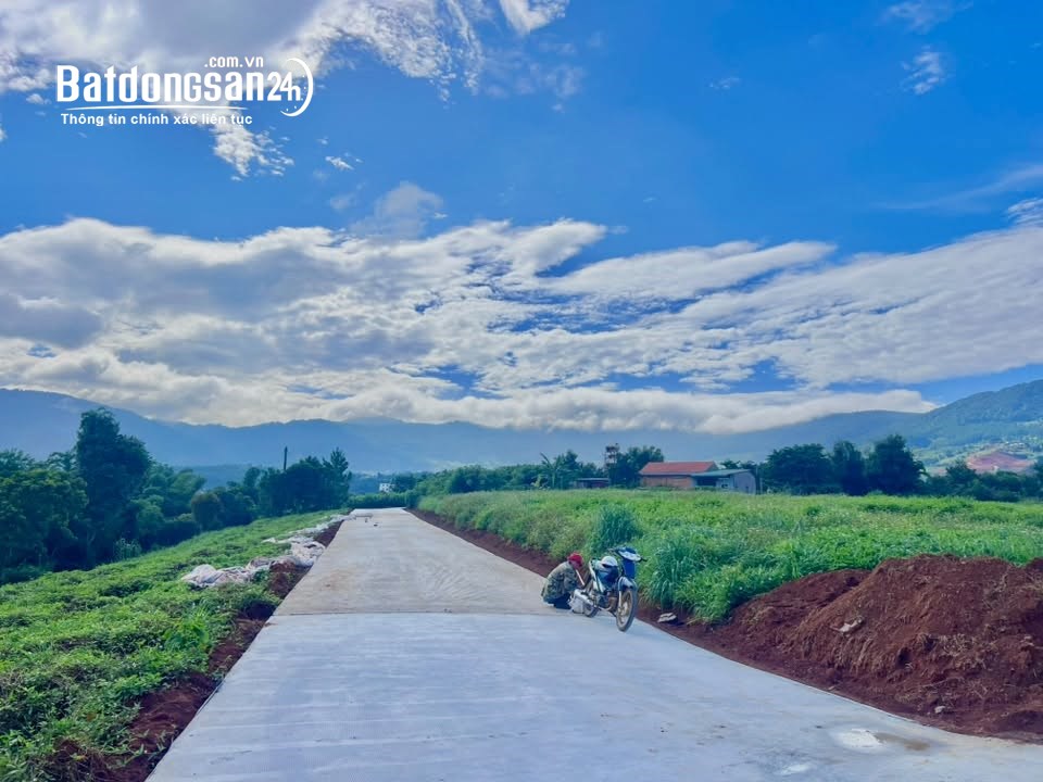 Đất nhà vườn ven Đà Lạt 25x126m, 200m² thổ cư, sẵn tường rào bao quanh.