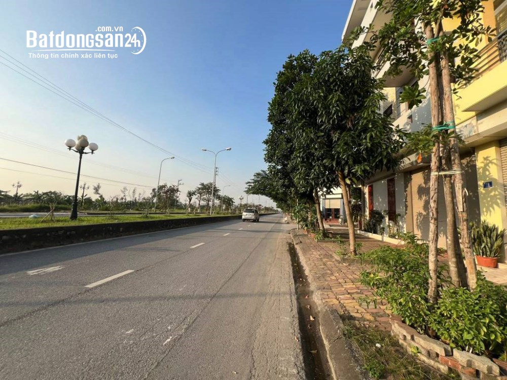 Bán gấp đất biệt thự 235m2 phường Tứ Minh, Hải Phòng, mặt tiền 12m cực đẹp, sổ hồng chính chủ.