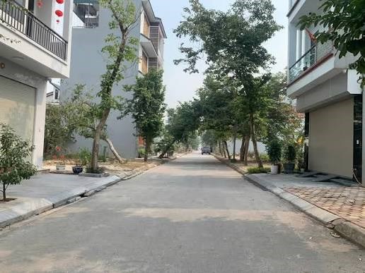 Lô đất biệt thự diện tích 230m², giá 54,5 triệu/m², sẵn sàng giao dịch, Phường Tứ Minh, Hải Phòng.