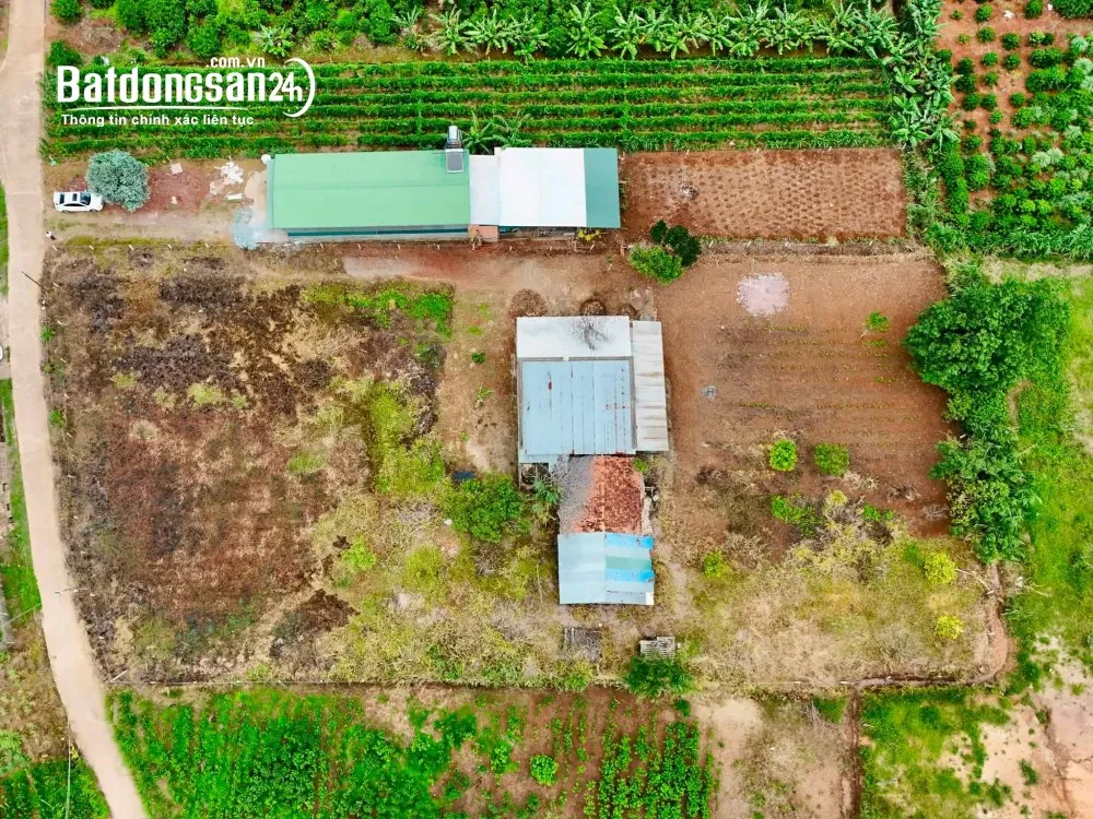 Bán đất ven Đà Lạt 3.276m², thổ cư 400m², mặt tiền 41m, view thoáng.