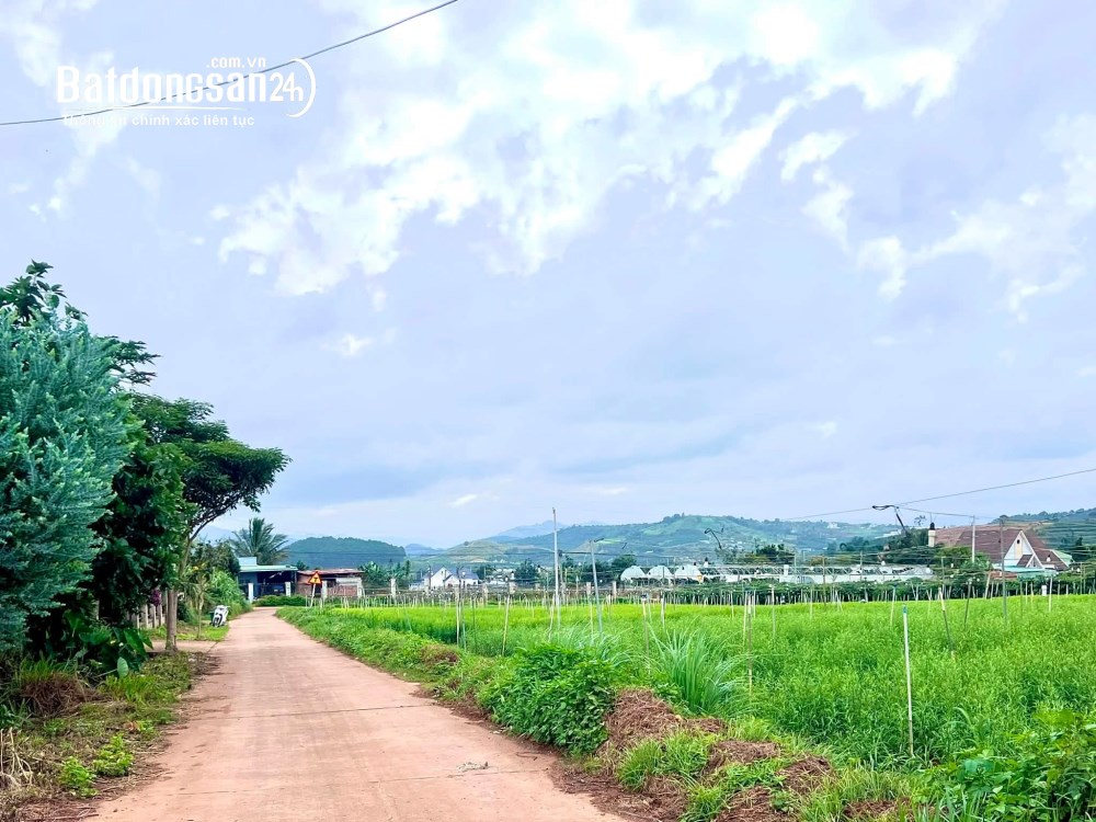 Đất ven Đà Lạt 1.001m², mặt tiền 11m, thổ cư 200m², giá tốt.