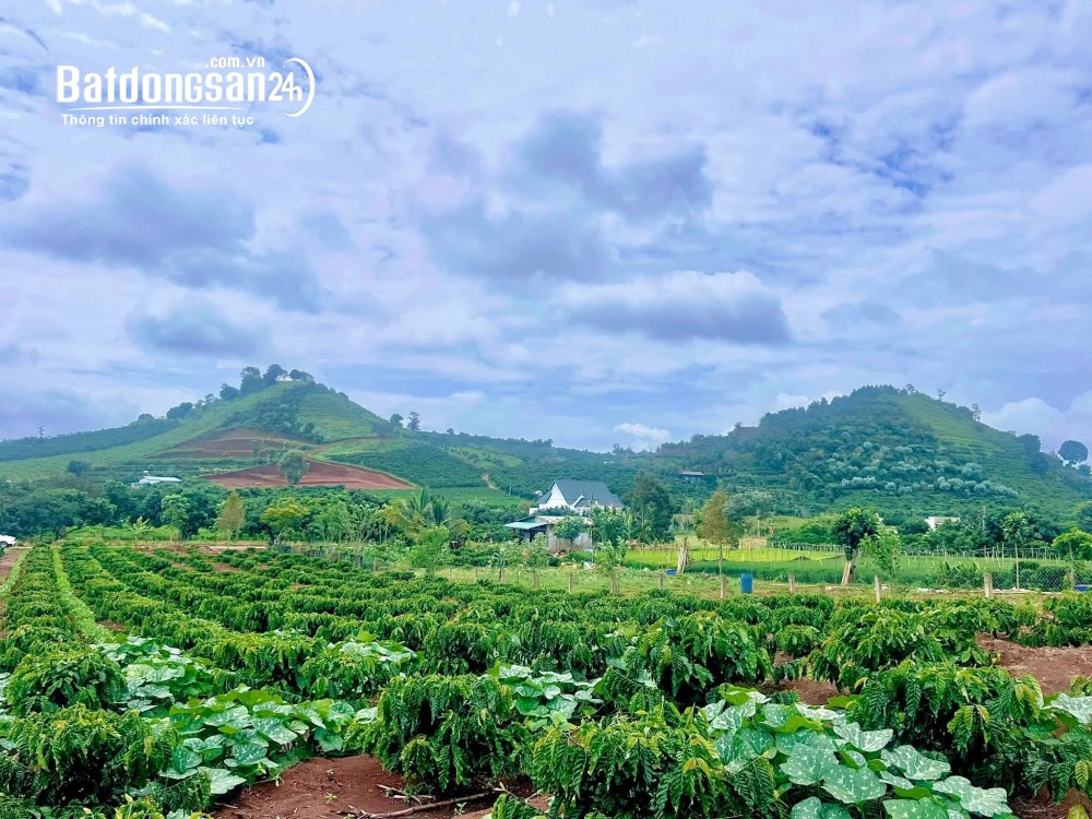 Đất ven Đà Lạt 1.001m², mặt tiền 11m, thổ cư 200m², giá tốt.