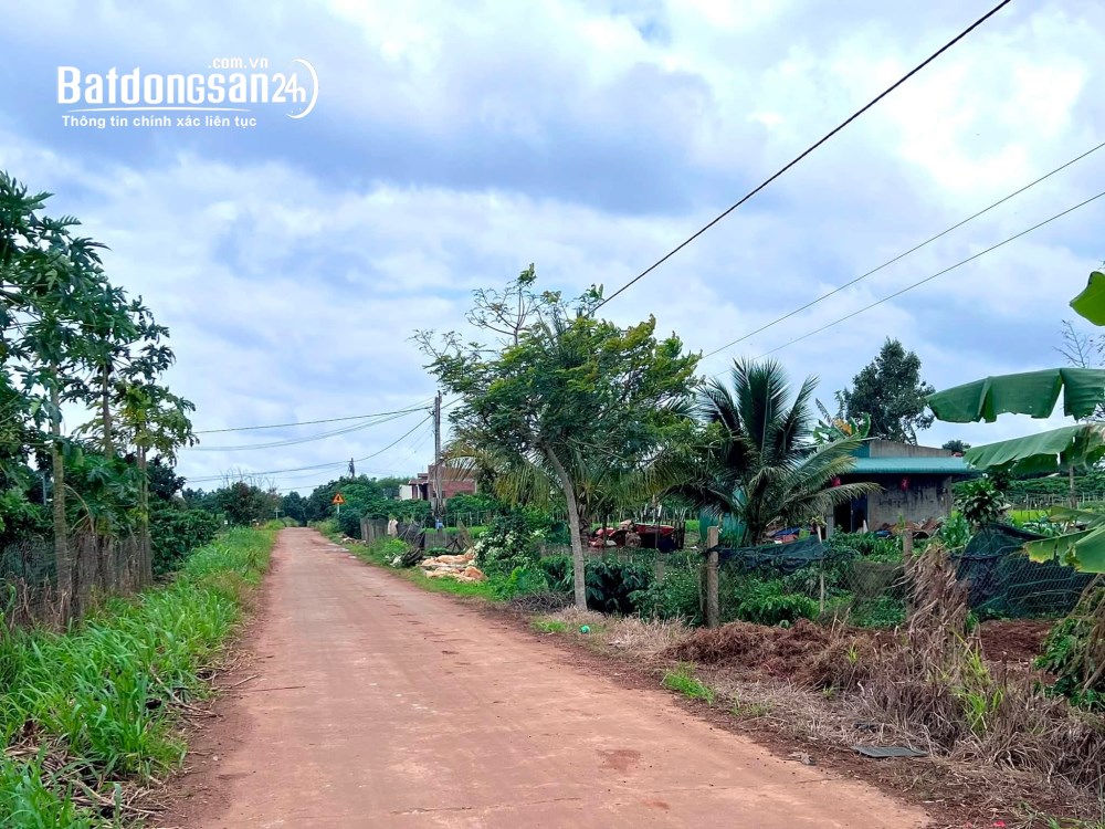 Đất ven Đà Lạt 1.001m², mặt tiền 11m, thổ cư 200m², giá tốt.