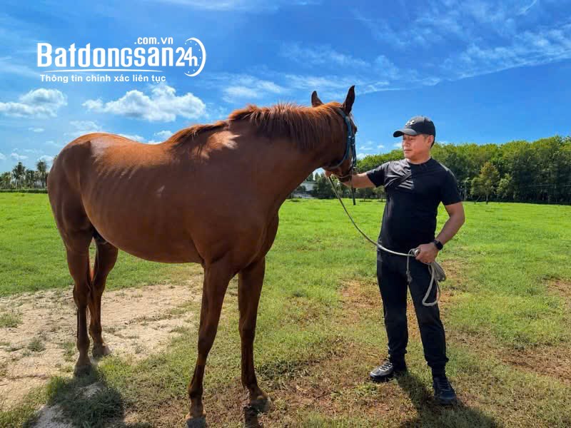 Đất biệt thự Đất Đỏ,TP Hồ Chí Minh, 644m², gần AKITA Horse Club, vị trí hiếm, giá hơn 4 tỷ.