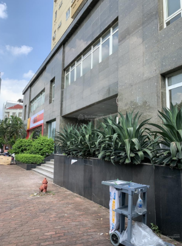 Cho thuê mặt bằng Nguyễn Chánh, Cầu Giấy, từ 400m², vỉa hè rộng, phù hợp gym, văn phòng.
