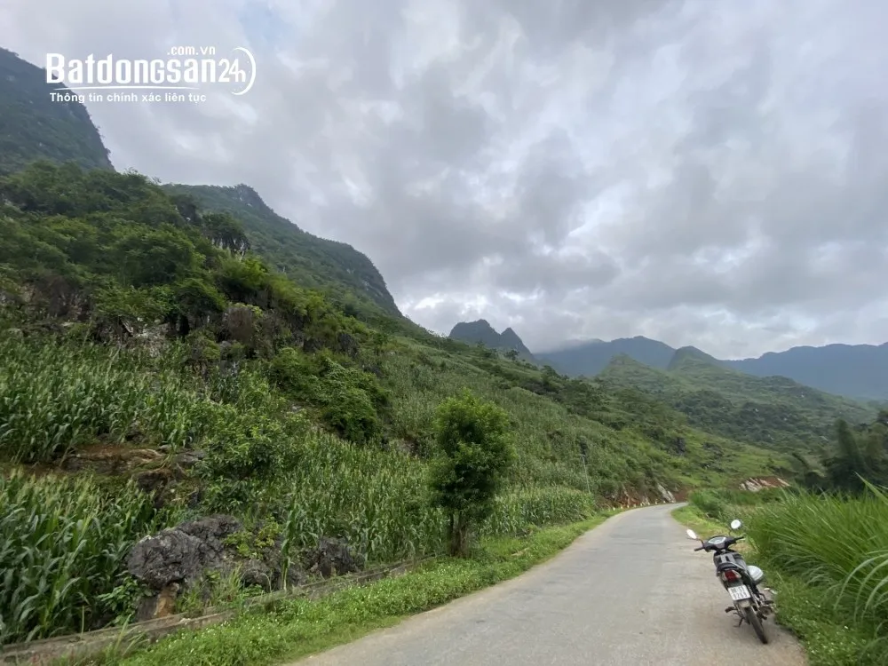 Bán gấp đất Quản Bạ, 3800m2, giá 2.8 tỷ, mặt tiền TL181 view HMong Village.