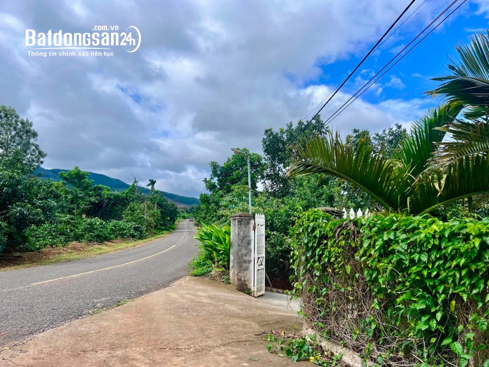 Bán đất ven Đà Lạt 520m², mặt tiền 14m, nở hậu 15m, phù hợp nghỉ dưỡng.