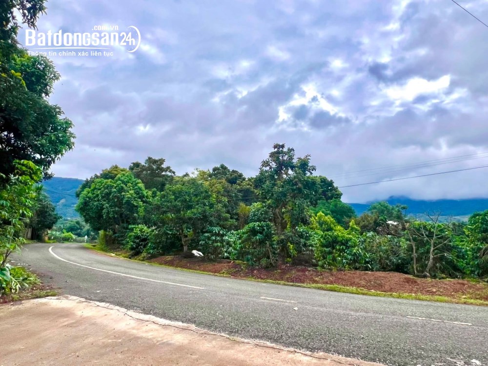 Bán đất ven Đà Lạt 520m², mặt tiền 14m, nở hậu 15m, phù hợp nghỉ dưỡng.