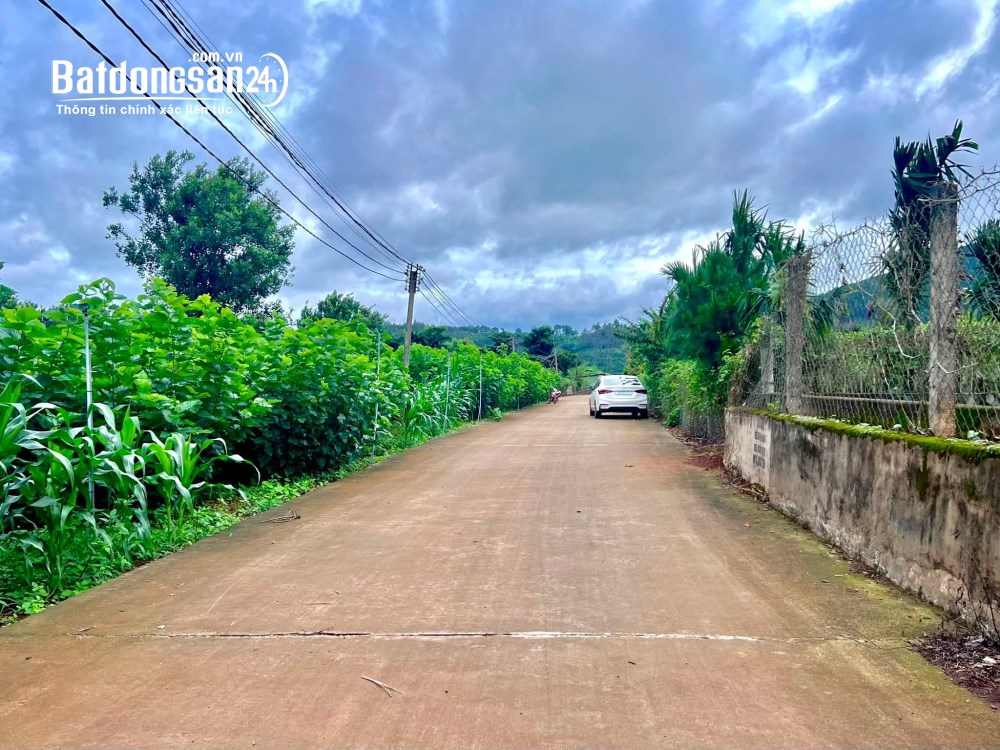 Bán đất ven Đà Lạt 520m², mặt tiền 14m, nở hậu 15m, phù hợp nghỉ dưỡng.