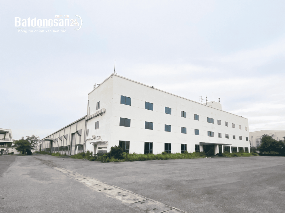 Cho Thuê Sân Bãi 3.000m² Gần Nội Bài | Đỗ Xe Container | Hạ Tầng Đồng Bộ