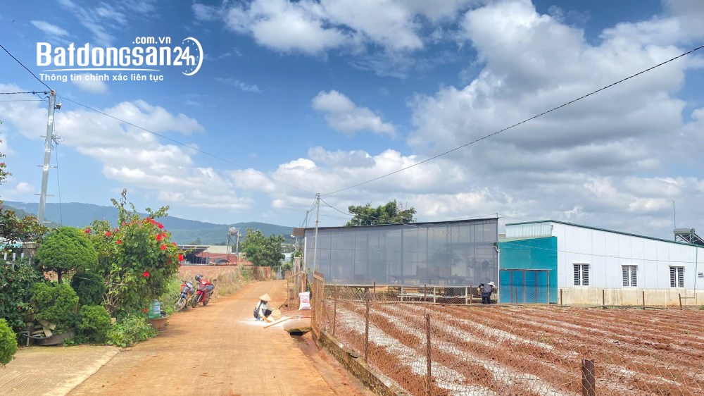 Bán đất nền phân lô Hiệp Thạnh, Lâm Đồng, 344m², 100m² thổ cư, gần QL27, giá 1,3 tỷ.