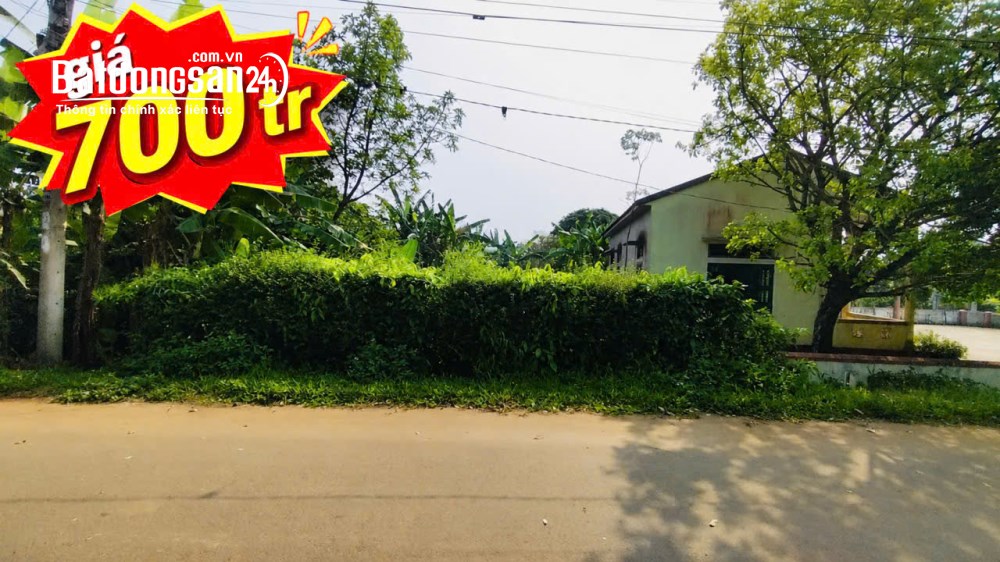 Bán đất biển Cửa Tùng, Quảng Trị, cách đường du lịch biển 800m.