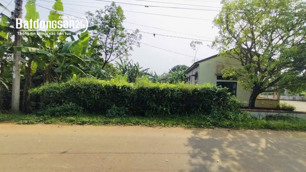 Bán đất biển Cửa Tùng, Quảng Trị, cách đường du lịch biển 800m.