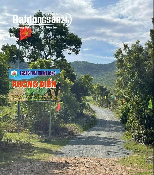 CHÍNH CHỦ BÁN VƯỜN CLN 17,7 Ha tại xã Phú Lạc, Bình Thuận (cũ)