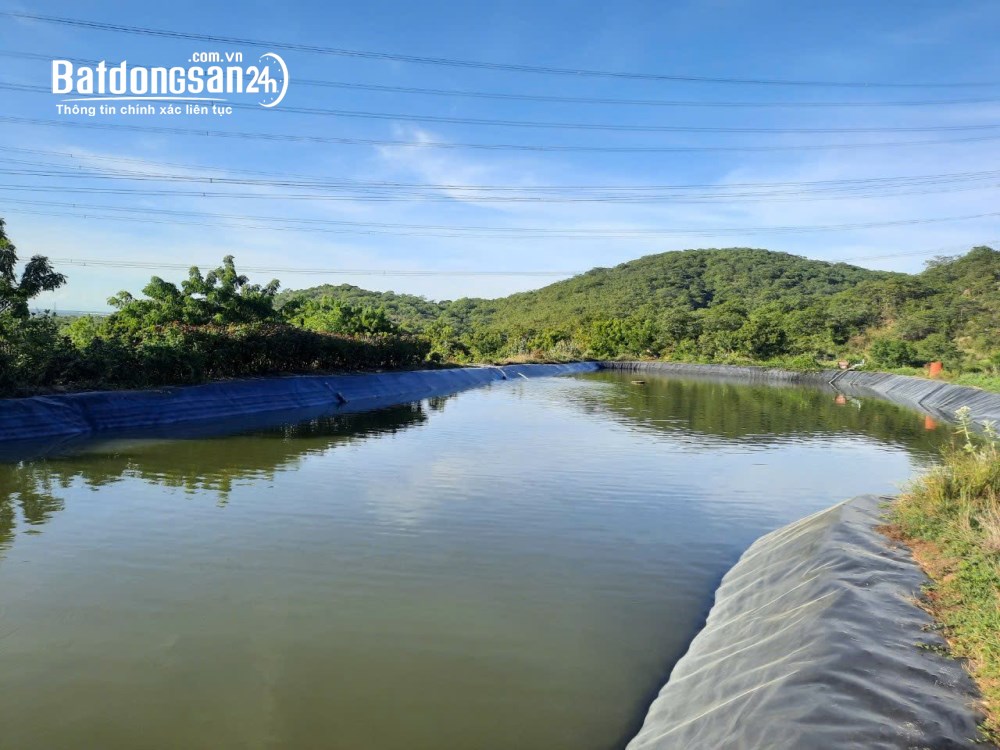 CHÍNH CHỦ BÁN VƯỜN CLN 17,7 Ha tại xã Phú Lạc, Bình Thuận (cũ)