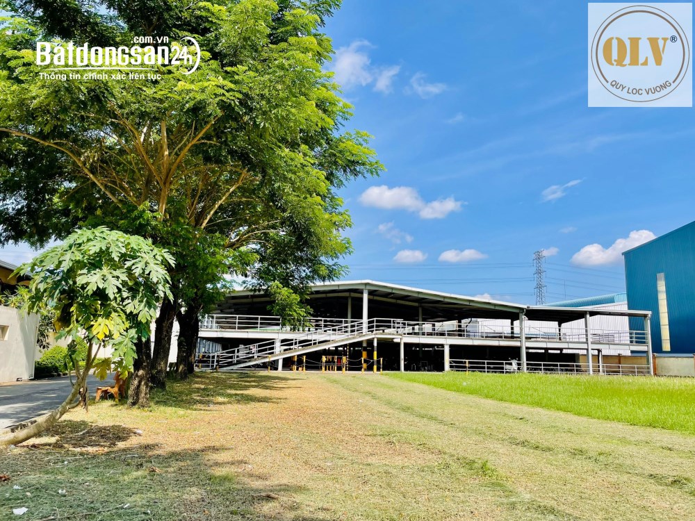 Cho thuê/bán nhà xưởng may mặc, balo, túi xách tại KCN Tân Hương, Đồng Tháp, 48.112m².