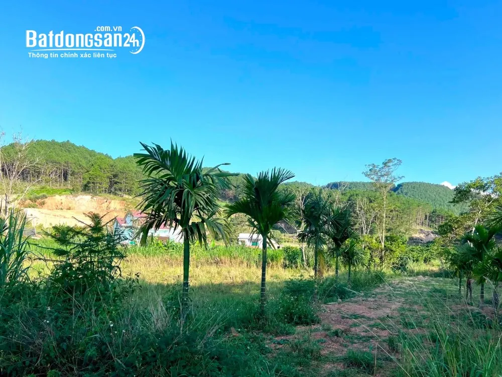 Bán đất ven Đà Lạt – 309m², 209m² thổ cư, 2 mặt tiền đường bê tông, thuận tiện an cư và nghỉ dưỡng.