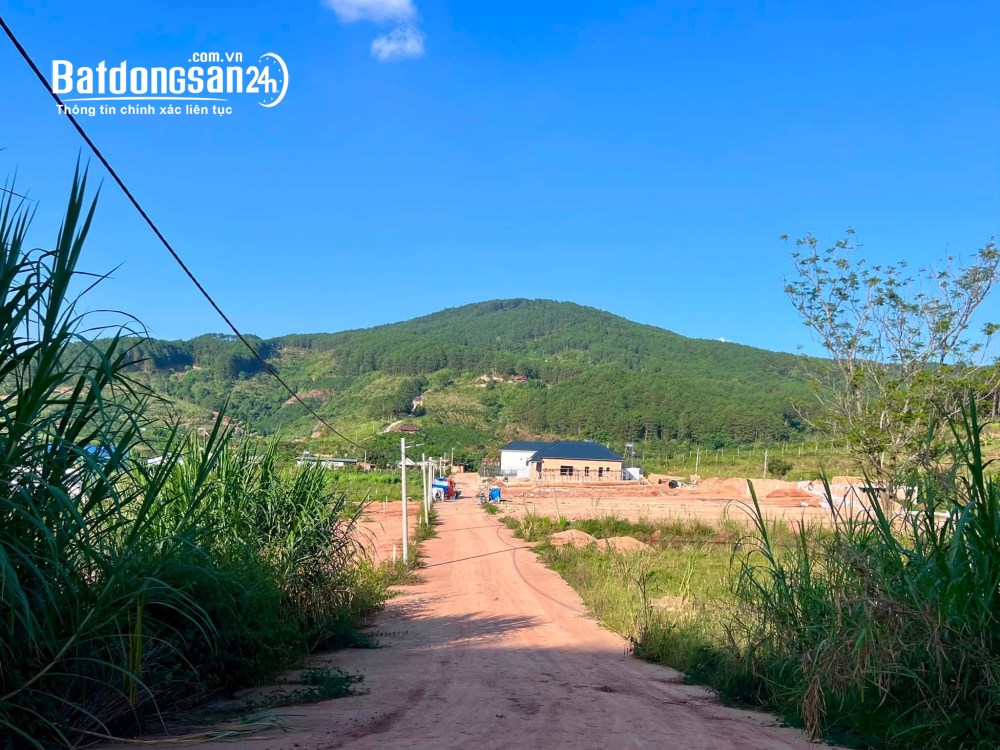 Bán đất ven Đà Lạt – 309m², 209m² thổ cư, 2 mặt tiền đường bê tông, thuận tiện an cư và nghỉ dưỡng.
