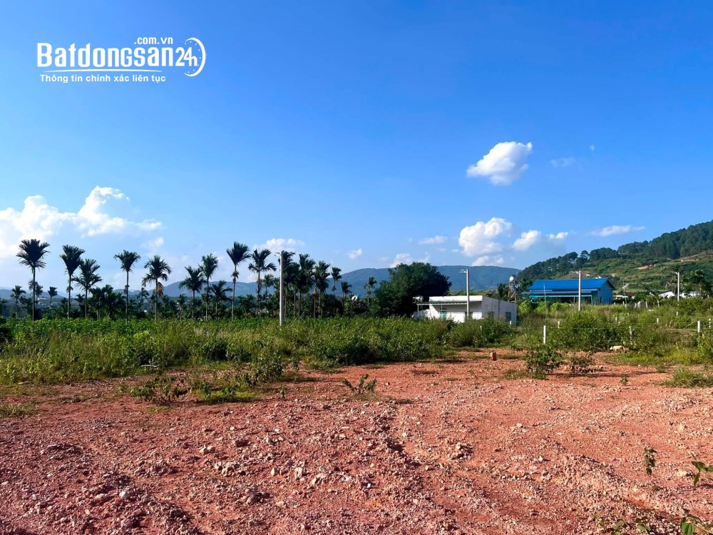 Bán đất ven Đà Lạt – 309m², 209m² thổ cư, 2 mặt tiền đường bê tông, thuận tiện an cư và nghỉ dưỡng.