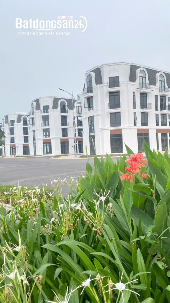 Vlasta Thủy Nguyên, căn hộ từ 62,5m², giá từ 4,5 tỷ, sở hữu lâu dài, tiện ích đồng bộ.