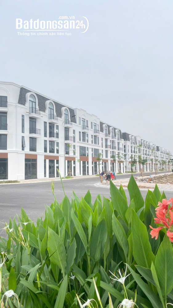 Vlasta Thủy Nguyên, căn hộ từ 62,5m², giá từ 4,5 tỷ, sở hữu lâu dài, tiện ích đồng bộ.