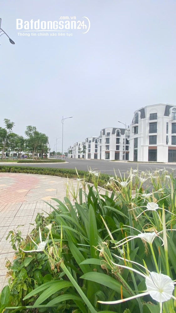 Vlasta Thủy Nguyên, căn hộ từ 62,5m², giá từ 4,5 tỷ, sở hữu lâu dài, tiện ích đồng bộ.