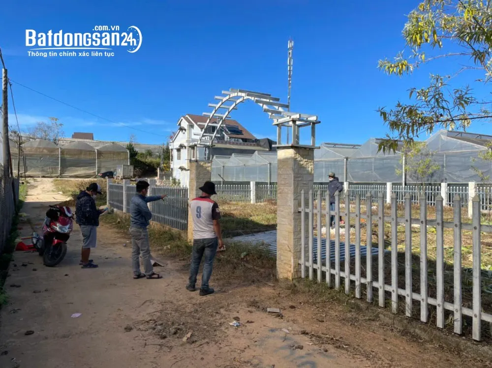 CHÍNH CHỦ BÁN ĐẤT 500M² P7 ĐÀ LẠT - SỔ HỒNG RIÊNG - GIÁ CHỈ 3 TỶ 199 TR