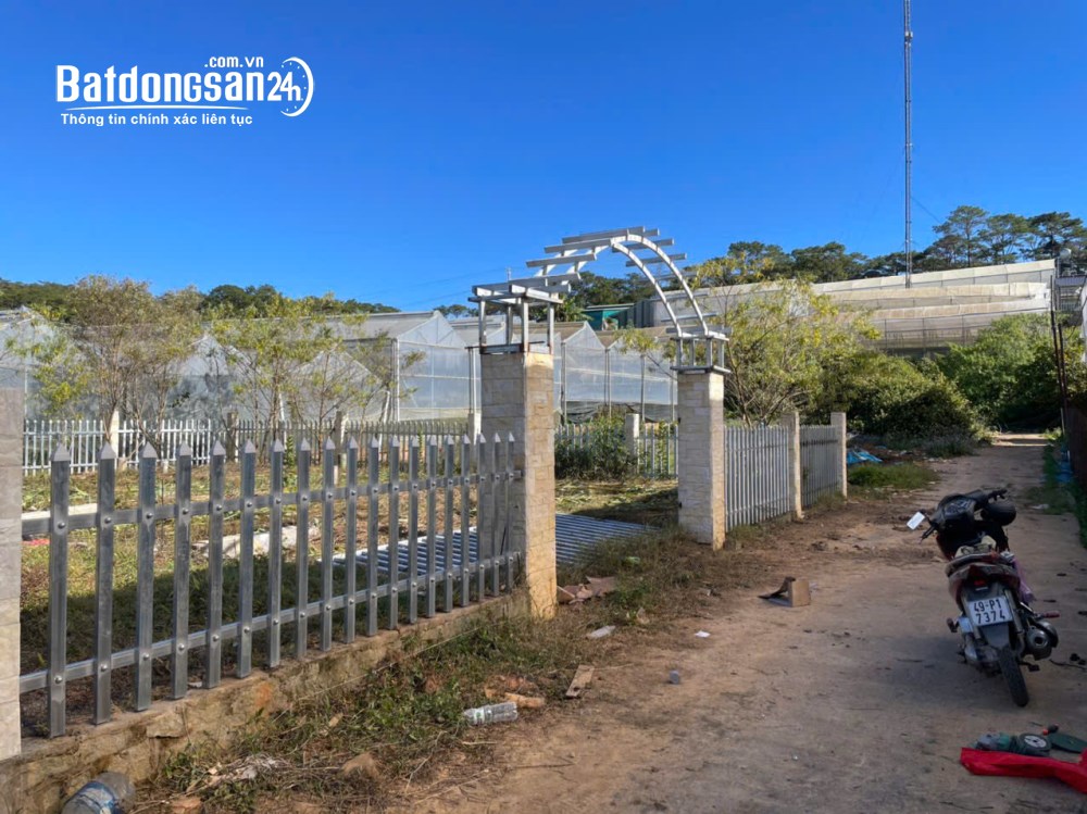 CHÍNH CHỦ BÁN ĐẤT 500M² P7 ĐÀ LẠT - SỔ HỒNG RIÊNG - GIÁ CHỈ 3 TỶ 199 TR