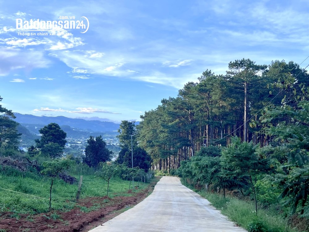 Bán đất 1000m2, giá 2.8 tỷ, Tỉnh lộ 725, Xã Nam Ban Lâm Hà (Huyện Lâm Hà cũ), Lâm Đồng.