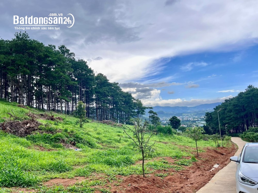 Bán đất 1000m2, giá 2.8 tỷ, Tỉnh lộ 725, Xã Nam Ban Lâm Hà (Huyện Lâm Hà cũ), Lâm Đồng.