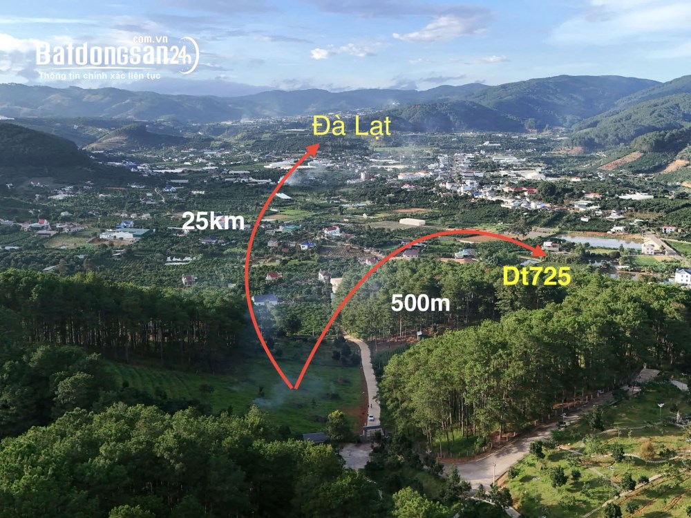 Bán đất 1000m2, giá 2.8 tỷ, Tỉnh lộ 725, Xã Nam Ban Lâm Hà (Huyện Lâm Hà cũ), Lâm Đồng.