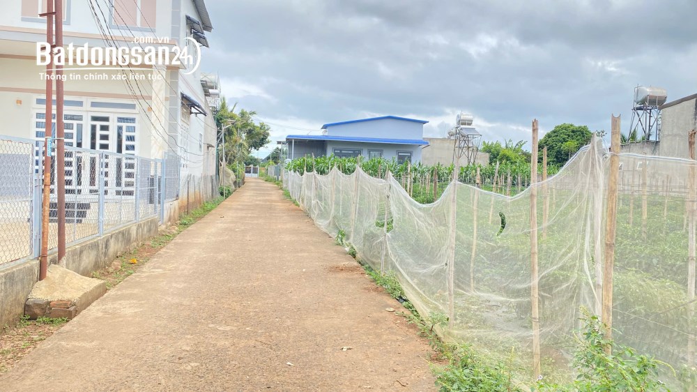 Đất ĐT 724, 139m², 100m² thổ cư, gần ngã 3 Tân Hội, giá 850 triệu, Đức Trọng, Lâm Đồng.