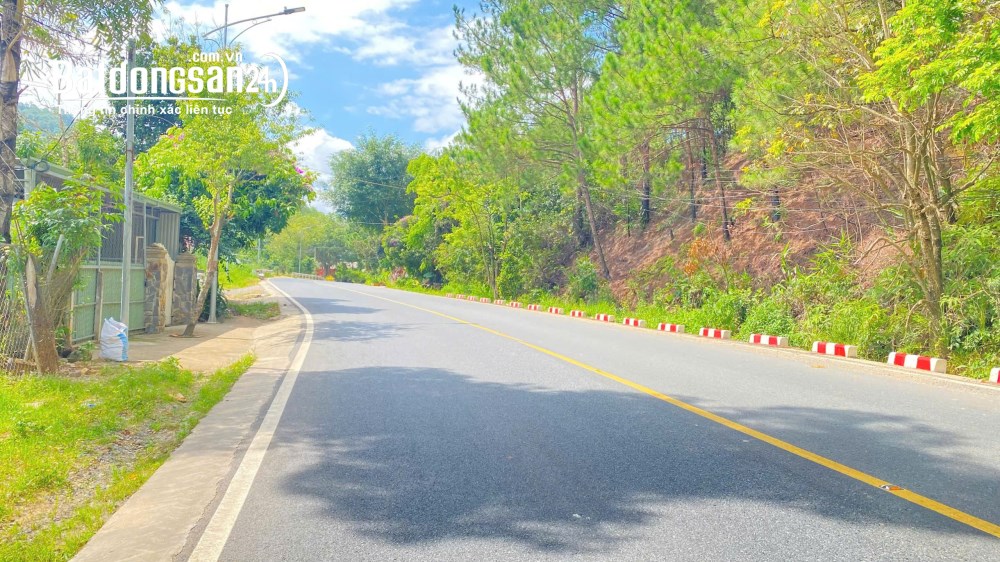 Bán đất mặt tiền đèo Mimosa, Đà Lạt – hơn 5.000m², mặt tiền 40m – giá 30 tỷ.