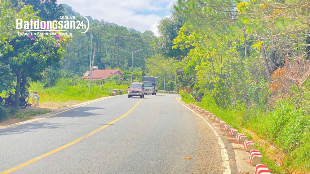 Bán đất mặt tiền đèo Mimosa, Đà Lạt – hơn 5.000m², mặt tiền 40m – giá 30 tỷ.