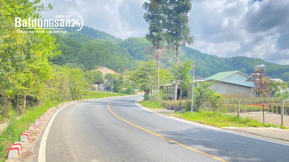 Bán đất mặt tiền đèo Mimosa, Đà Lạt – hơn 5.000m², mặt tiền 40m – giá 30 tỷ.