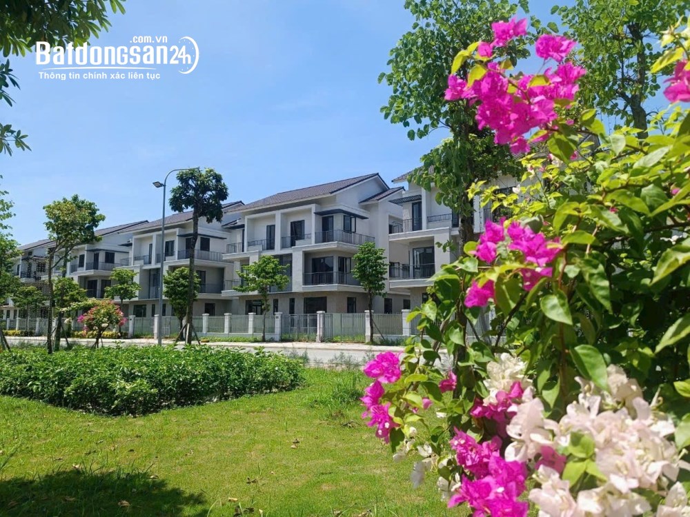 Bán Biệt thự-Villas Dự án Centa Riverside, Phường Từ Sơn (TP Từ Sơn cũ), Bắc Ninh