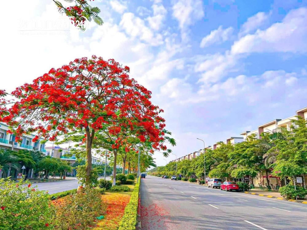 Shophouse 120m² trục chính kinh doanh, mặt tiền rộng, Đường Hữu Nghị, P. Từ Sơn, Bắc Ninh.