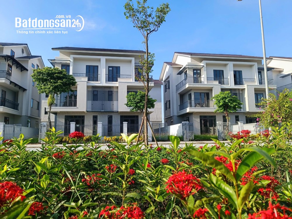 Bán Biệt thự-Villas Dự án Centa Riverside, Phường Từ Sơn (TP Từ Sơn cũ), Bắc Ninh