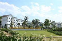 Dịu Vinhomes