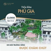 trần thị kim ngân