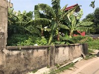 nguyễn phương thảo